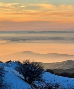 viosi_dawn_1